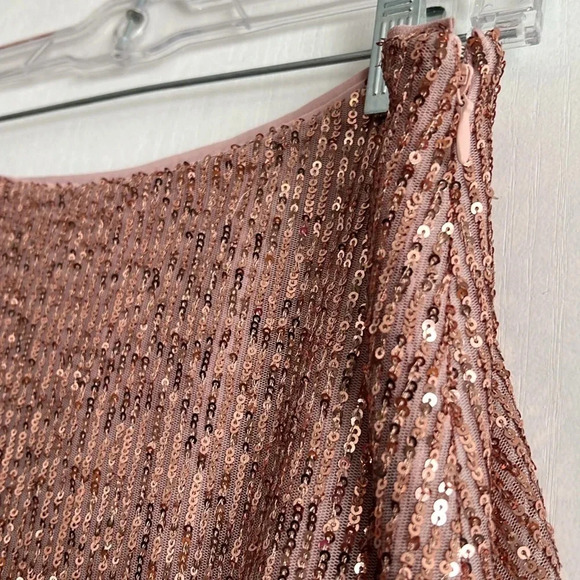 Loft Rose Gold Mesh Sequin Midi A-Line Skirt Lined Side Zip Size 10P NWT - Picture 3 of 12